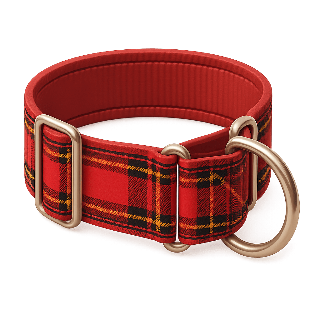 היכרות מלאה עם עולמו של הכלב Icon